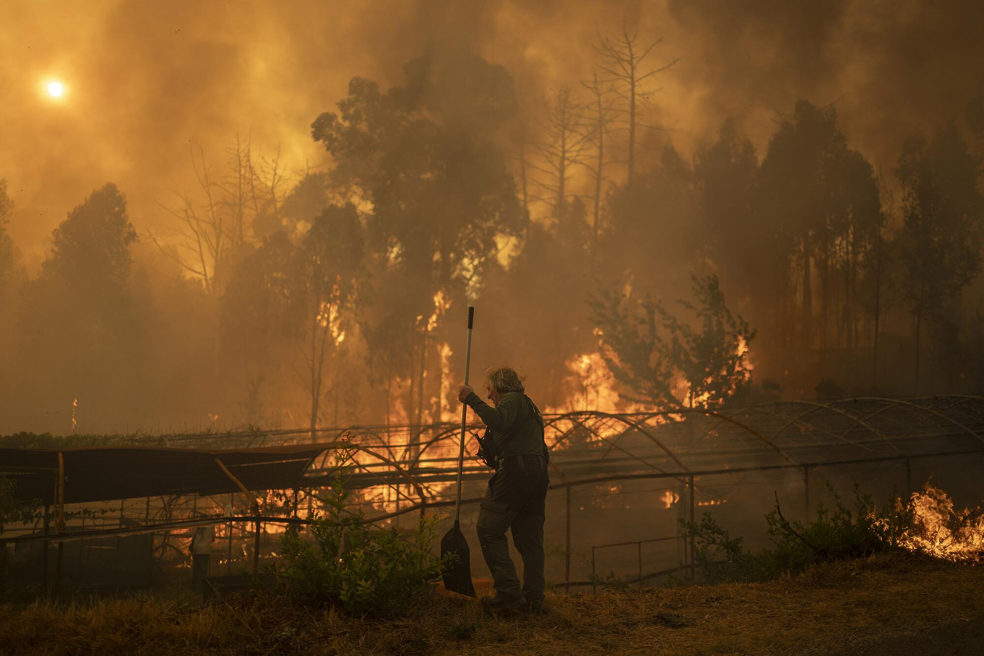 Incendio Carballeda de Avia Ourense